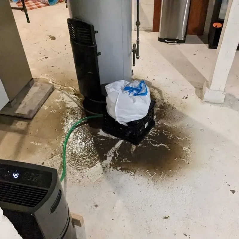 Sewage Backup Cleanup Service in Timmonsville, SC